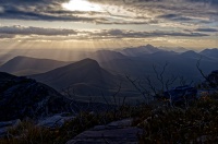 AUS - Stirling Range NP o2425